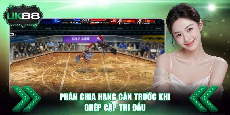 Phân chia hạng cân trước khi ghép cặp thi đấu